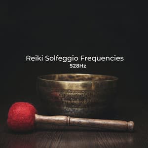 Reiki Healing: Healing of 528hz - Reikini