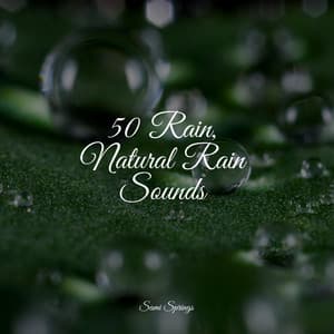 50 Rain, Natural Rain Sounds - Nature Chillout