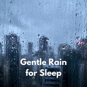 Gentle Rain for Sleep - Rain for Deep Sleep