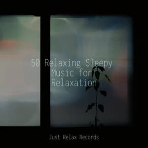 50 Relaxing Sleepy Music for Relaxation - Shakuhachi Sakano