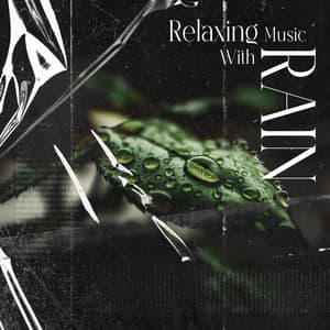 Relaxing Music With Rain: Relaxing Sounds For Sleep, Meditation For Anxiety, Relief Of Stress, Headache Natural Remedy - Relaxing Music Master