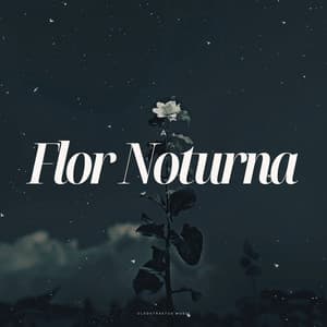 A Flor Noturna - Musicoterapia de Lluvia