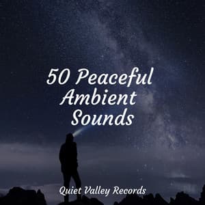 50 Peaceful Ambient Sounds - Sounds Of Nature