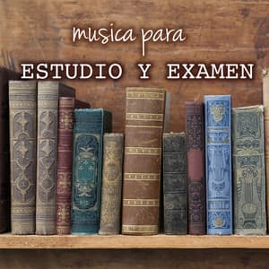 Música para Técnica de Estudio y Examen: Concentración Profunda y Mejorar el Aprendizaje - Musica para Estudiar Specialistas