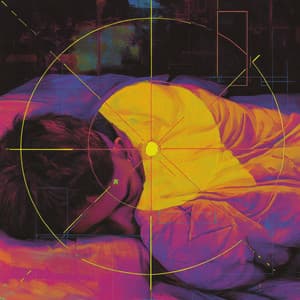 Netwerk Identiteit - Daily Calm