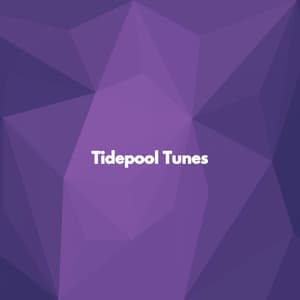 Tidepool Tunes - Relaxing Jazz Music