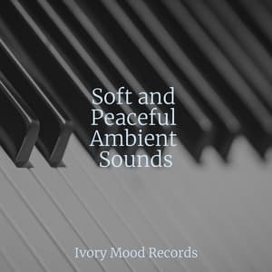 Soft and Peaceful Ambient Sounds - Ivory Mood