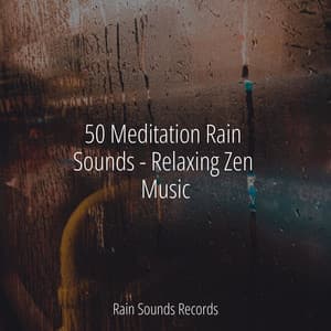 50 Meditation Rain Sounds - Relaxing Zen Music - Massage Therapy Music