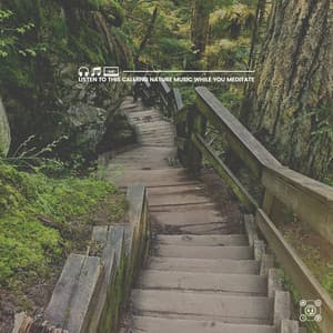 Listen to This Calming Nature Music While You Meditate - Memorable