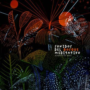 Sonidos del Bosque Meditativo - Sonidos De Aves