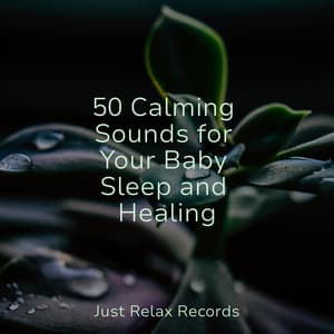 50 Calming Sounds for Your Baby Sleep and Healing - Yoga
