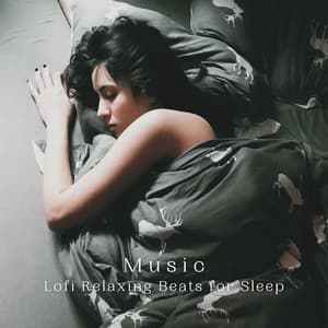 Music: Lofi Relaxing Beats for Sleep - Lofi Night Drives