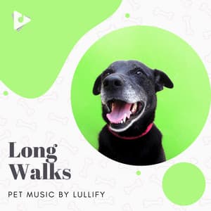 Long Walks - Pet Music by Lullify