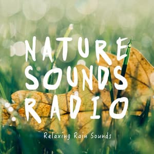 Relaxing Rain Sounds - Nature Sounds Radio