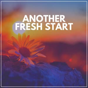 Another Fresh Start - Ambient Sample Library