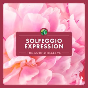Solfeggio: Expression - The Sound Reserve