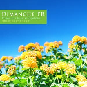 Sleeping Classics For Happy Sleeping - Moritz Moszkowski