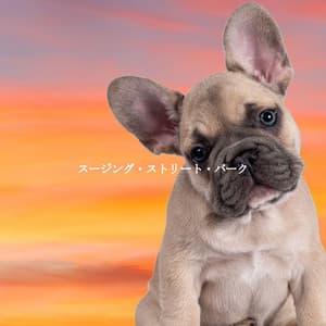 スージング・ストリート・バーク - Jazz Relax Office