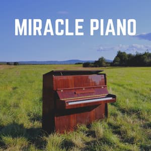 Miracle Piano - Piano Calm