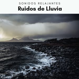 2022 Ruidos de Lluvia - Academia de Música con Sonidos de la Naturaleza