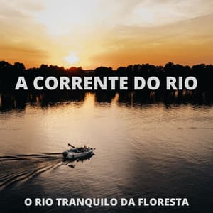 A Corrente Do Rio: O Rio Tranquilo Da Floresta - Música Relax para Bares