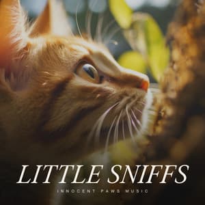 Little Sniffs - Cats Music Zone