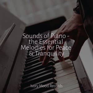 Sounds of Piano - the Essential Melodies for Peace & Tranquility - Ivory Mood