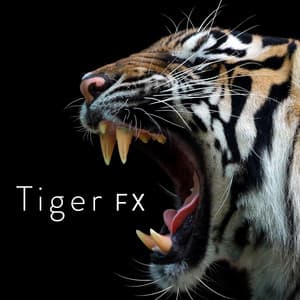 Tiger FX - Sound Ideas
