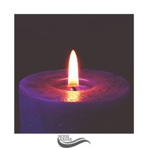 Noise Reset - MediSpa