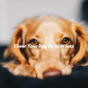 Cheer Your Dog Up with Jazz - Musik zum Lesen