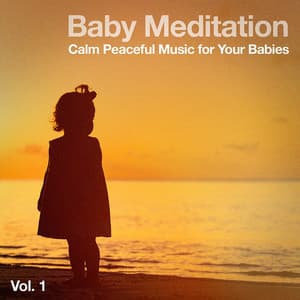Baby Meditation, Vol. 1 - Lullabye Baby Ensemble