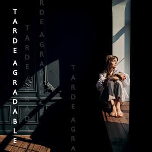 Tarde Agradable: Música de Jazz Suave para Relajarse Después del Trabajo, Relajante Musica de Jazz - Artista de Jazz Tranquilo