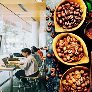 Backdrop for Spring Stories - Cool Bolero - Jazz Music Cafe