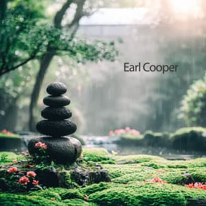 Waves of Zen: Music for Well-being and Reiki - Earl Cooper
