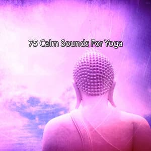 75 Calm Sounds For Yoga - Relaxing Music Moods
