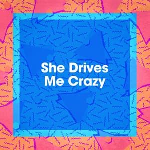 She Drives Me Crazy - Top 40 Hits