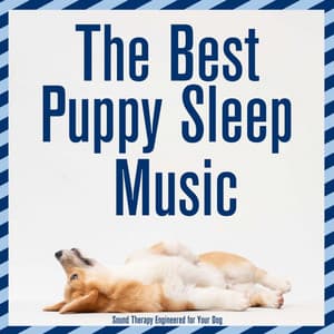 The Best Puppy Sleep Music : Sound Therapy Engineered for Your Dog - Dog Music Dreams