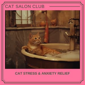Cat Stress & Anxiety Relief - Cat Salon Club