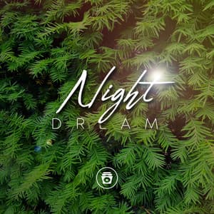 Night Dream - Relaxing Sounds