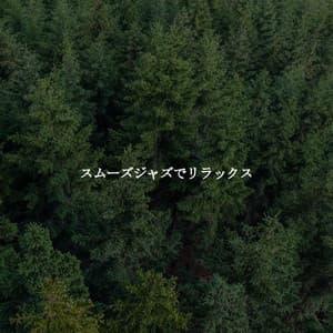 スムーズジャズでリラックス - Retail Music