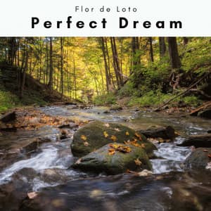 1 Perfect Dream - Flor de Loto