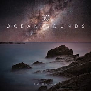 50 Ocean Sounds to Relax - Sea Sounds Channel
