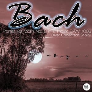 Bach JS: Partita for Violin No. 3 in E major BWV 1006 - Oliver Colbentson