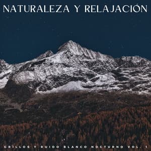Naturaleza Y Relajación: Grillos Y Ruido Blanco Nocturno Vol. 1 - Sonidos de la naturaleza con música