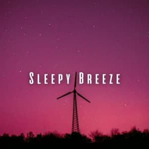 Sleepy Breeze: Gentle Winds with Chill Music - Four Winds