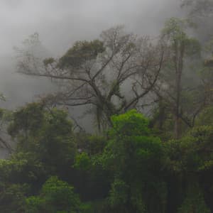 RuidoBranco e Chuva - Ruído Branco