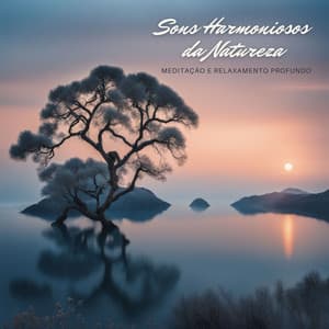 Sons Harmoniosos da Natureza: Meditação e Relaxamento Profundo - Musicoterapia