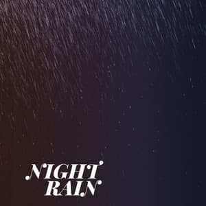 Night Rain - Serene Rose