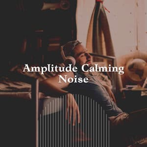 Amplitude Calming Noise - The Background Noise Company