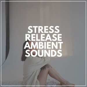 Stress Release Ambient Sounds - Musica Relax Academia